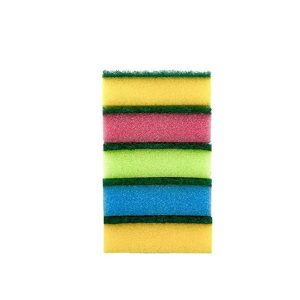Sponge Scourer